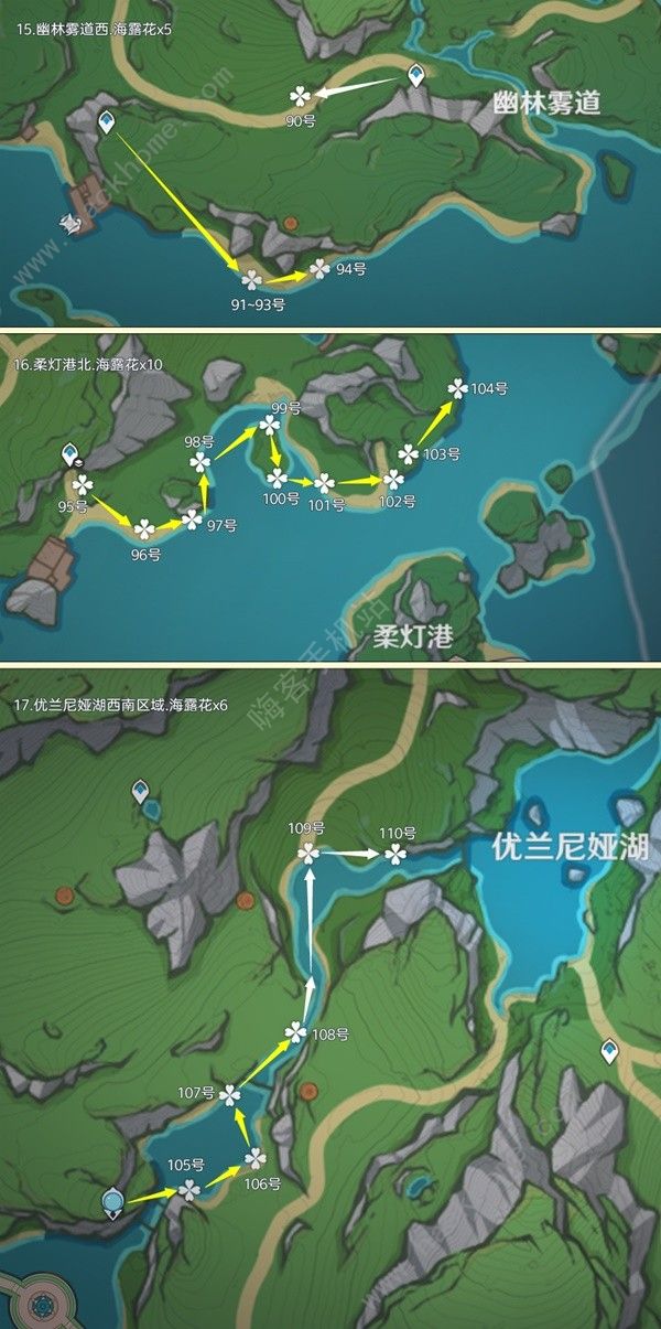 原神4.5海露花采集路线图最新 4.5海露花收集点位一览图片6