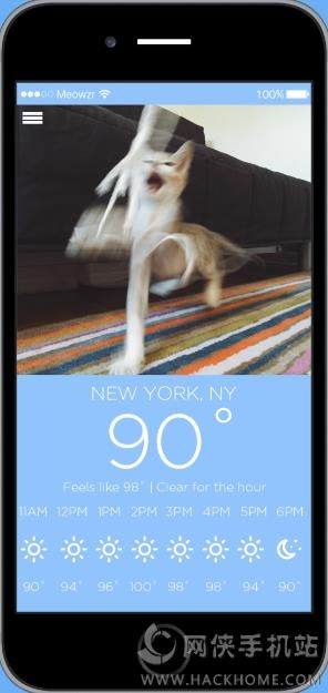Meowzr猫咪天气app下载安卓版 v1.0