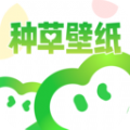 种草壁纸app手机版下载 v1.0.0