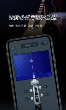 调音器大师软件最新app下载 v1.11402.6