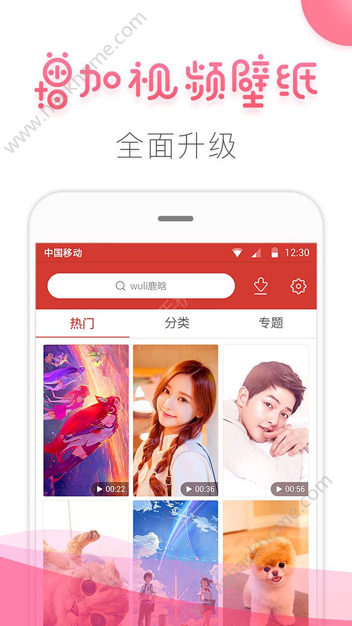 桔子壁纸图片app手机版下载图片1