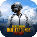 pubg2.2国际服手游下载安装最新版 v3.3.0