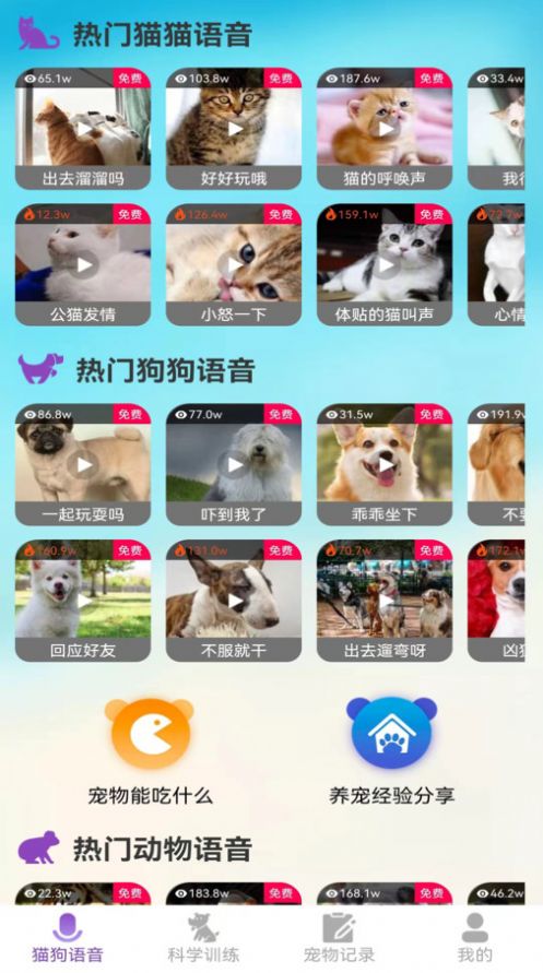 啵啵猫狗语音软件官方下载 v1.0.1