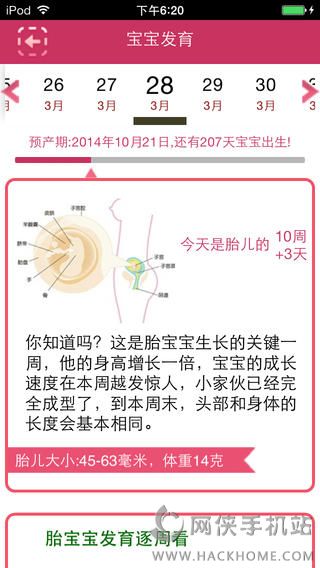 孕育宝官网app下载 v1.51