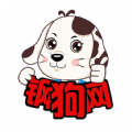 钢狗网app手机版下载 v1.0