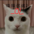 猫猫惊魂2OL游戏官方版下载 OLv1.0