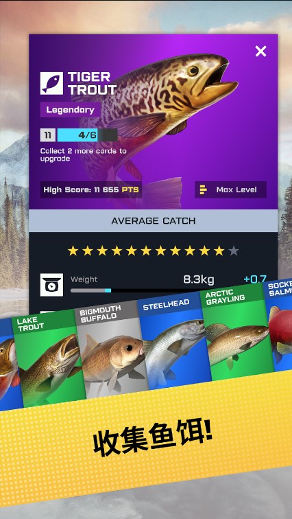 Fishing Tour汉化版游戏下载 v1.9.3