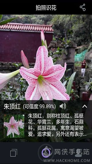 拍照识花ios手机版app v2.1.58.230327