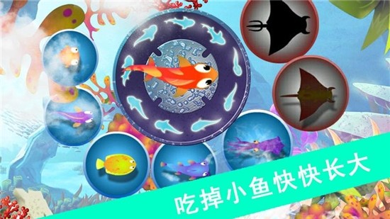 鲨鱼风暴免广告抖音小游戏 v1.1.5