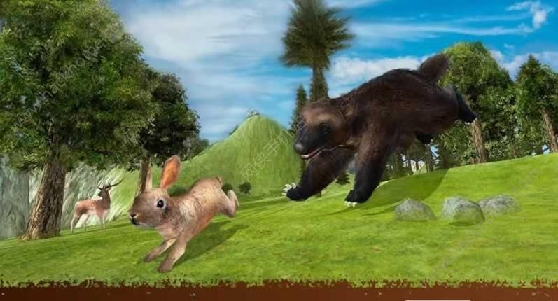 小熊模拟器最新安卓版（Wolverine Animal Simulator） v1.9.5.1