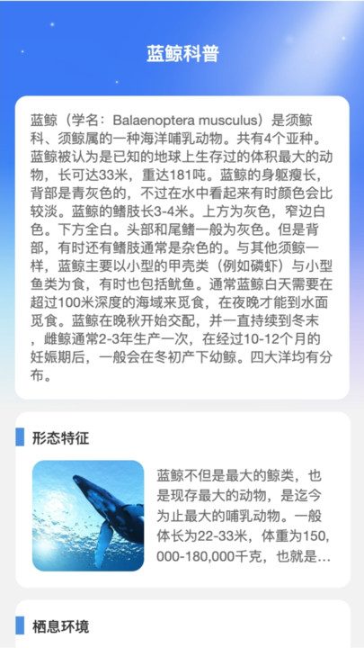 蓝鲸WiFi软件手机版图片1