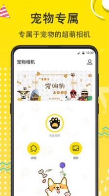 猫狗开心一刻宠物相机app官方下载 v7.1.1001