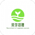 菜芽招聘app官方下载 v1.0