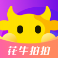 花牛拍拍app安卓版下载 v1.0