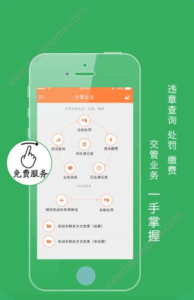 熊猫驾信违章查询app手机版图片1