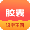 拾光胶囊识字学习app手机版下载 v1.2